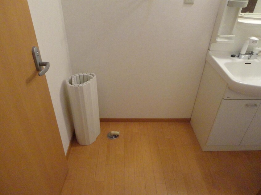  ベリィー・ブラッサム