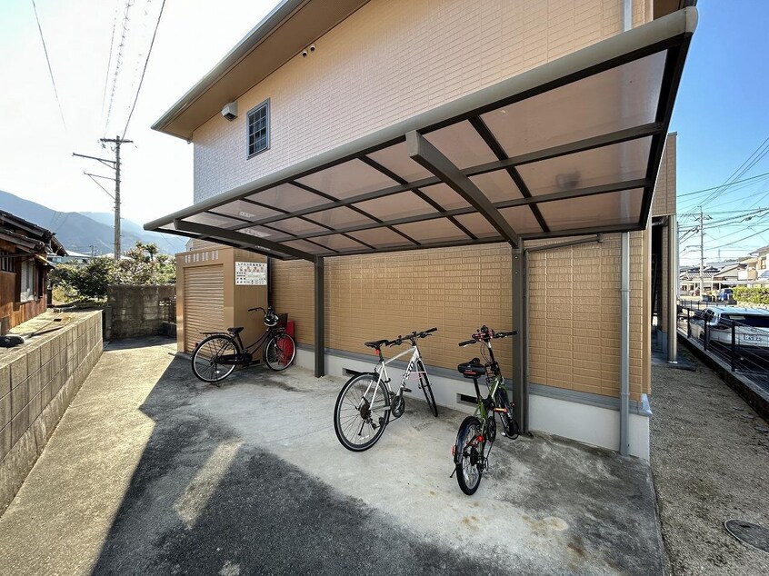  ベリィー・ブラッサム