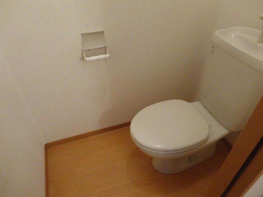  ベリィー・ブラッサム