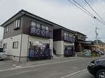 コスモス