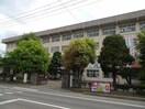 東中学校(中学校/中等教育学校)まで1280m メゾントレビVII