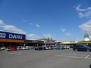 DCM新居浜店(電気量販店/ホームセンター)まで742m 坂井町3丁目16-35貸家