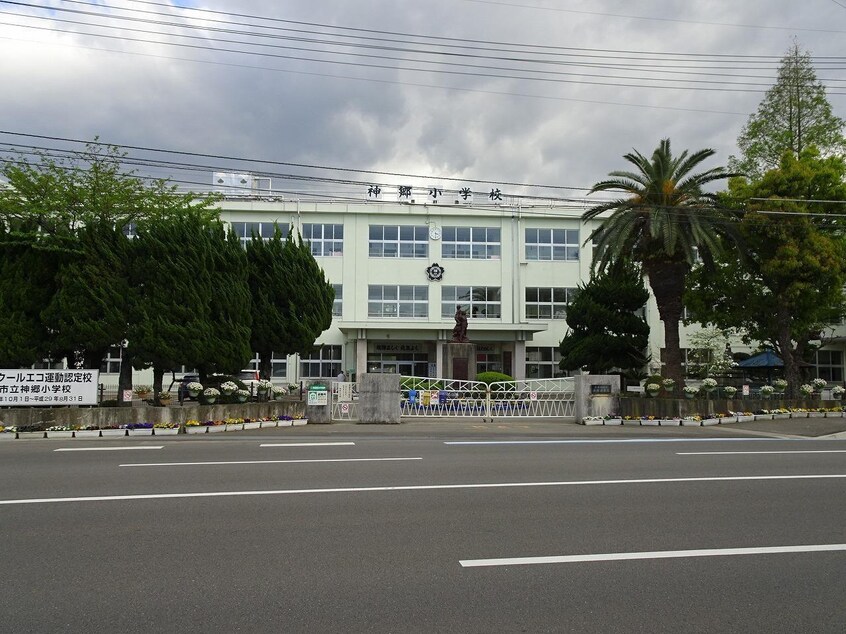 神郷小学校(小学校)まで950m メゾントレビI