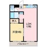 カサーナ新須賀 1LDKの間取り