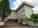 船木中学校(中学校/中等教育学校)まで1315m レントハウスこうの