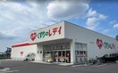くすりのレデイ船木店(ドラッグストア)まで1900m レントハウスこうの