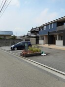  ベアート　サリーナ