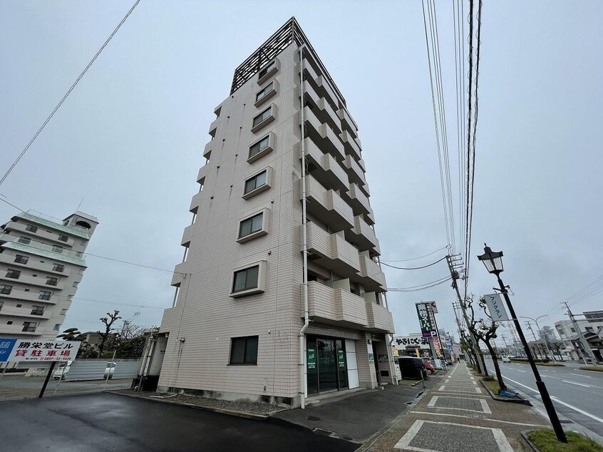  Safari 新居浜