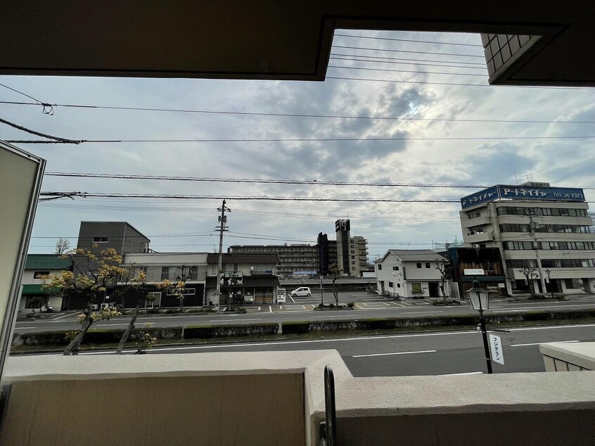  Safari 新居浜