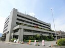 新居浜市役所まで1000m Safari 新居浜