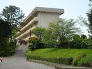 中萩中学校(中学校/中等教育学校)まで324m アベニューハタダIII