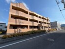 アレキサンドリアの外観