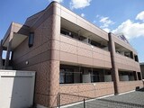 シャロン