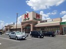 ハローズ駅家モールまで1300m サンハイム
