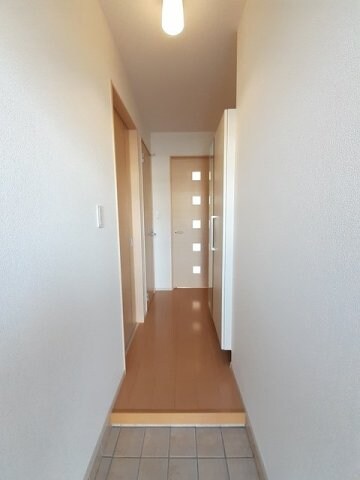  フィールド・サンＣ