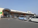 ハピーズ井原店まで250m サンリット