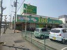 ザ・ダイソー＆アオヤマ福山三吉店まで387ｍ ノビオス
