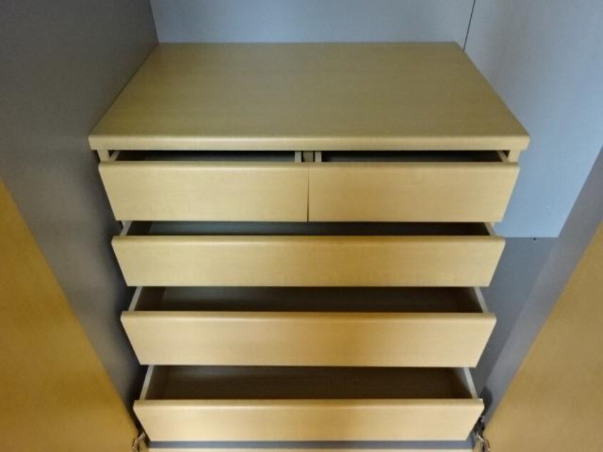 チェスト ウィスティリア