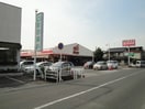 生鮮＆業務スーパーエブリイ川口店まで1,287ｍ シルヴィオ
