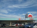 ニチエー柳津店（スーパー）まで769ｍ ペティハウス　Ｄ
