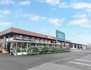 ホームプラザナフコ 松永店(電気量販店/ホームセンター)まで3493m プルメリア