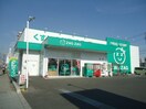 ザグザグ福山三吉店(ドラッグストア)まで743m グリシーナヴァッレ