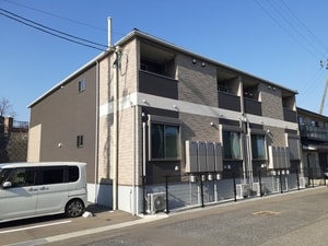 コスモス
