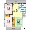 リシェスマツイB棟 3LDKの間取り