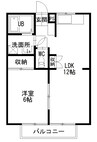 山根ハイツ 1LDKの間取り