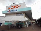 ニチエーさんらいず店まで1300m ティファニー