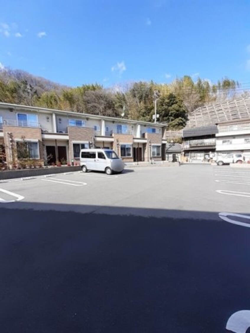  コットン　フィールド