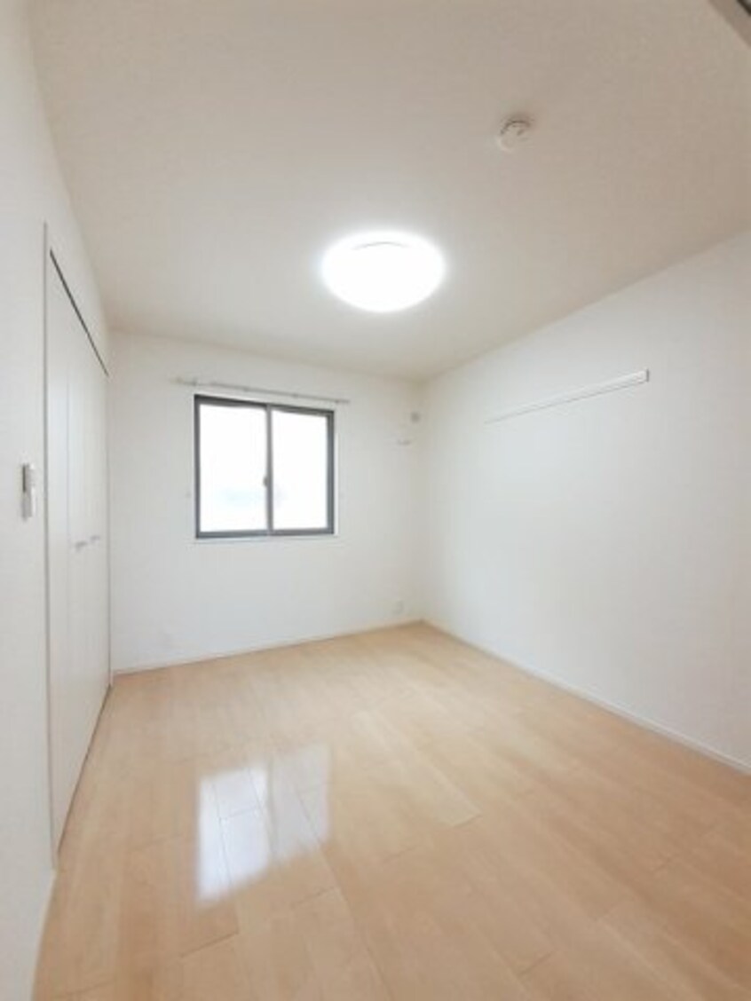  コットン　フィールド