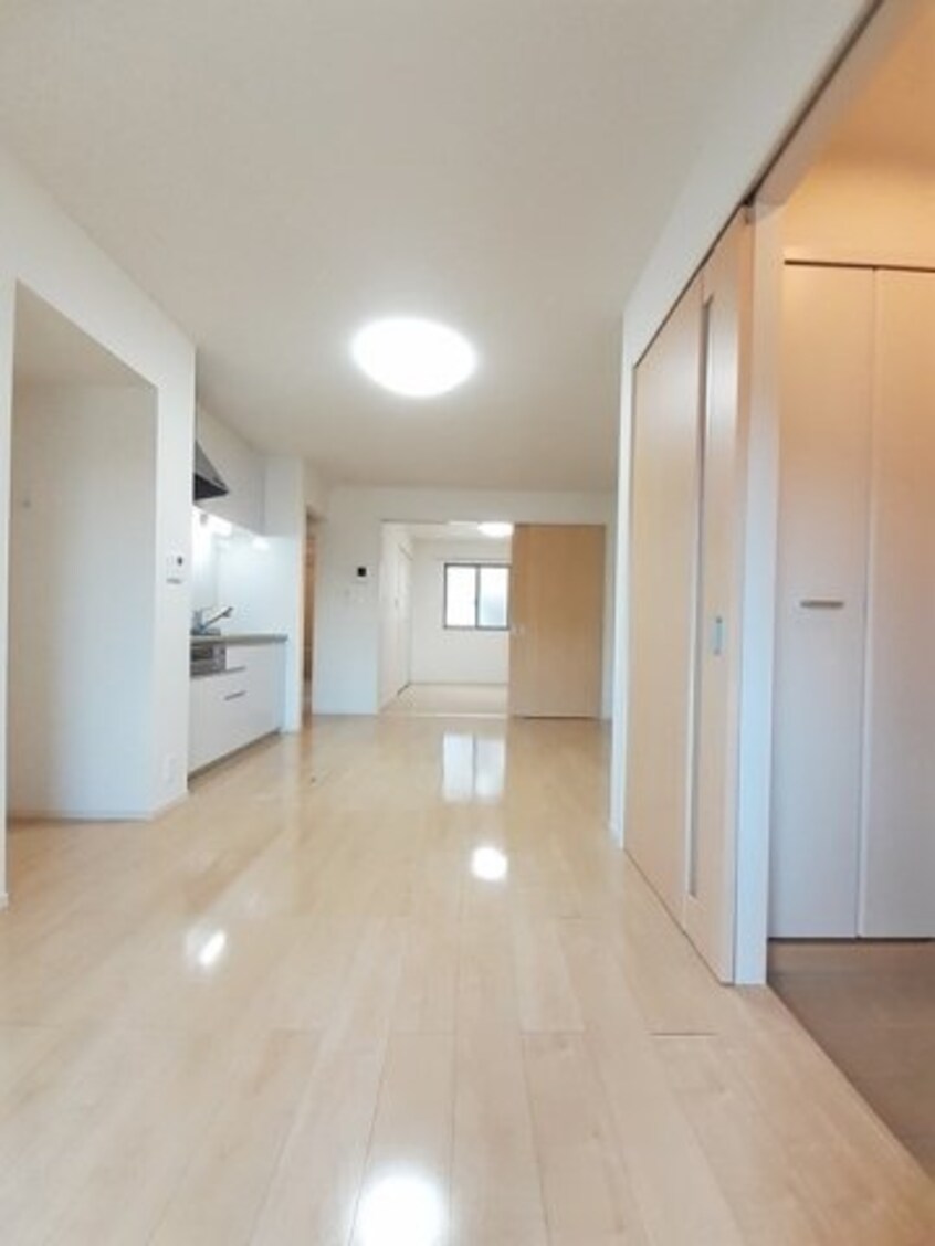  コットン　フィールド