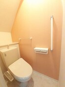  コットン　フィールド