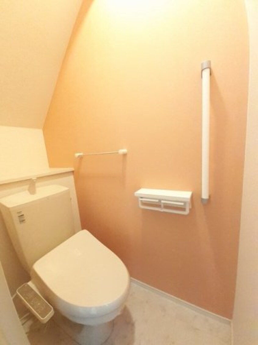  コットン　フィールド