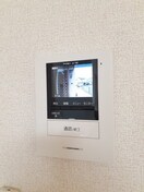  コットン　フィールド