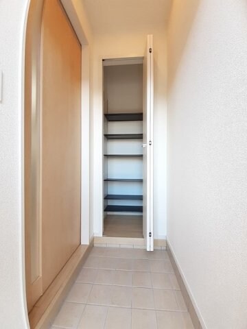  コットン　フィールド