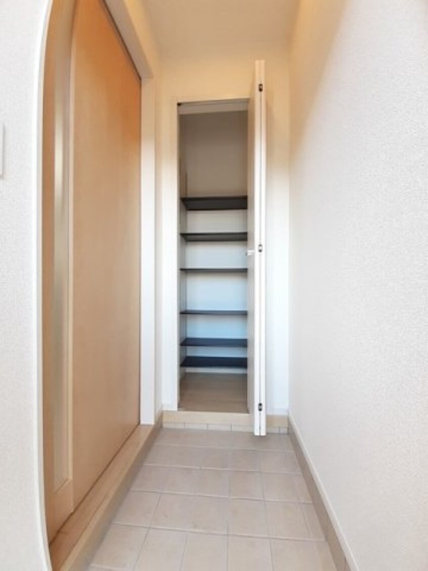  コットン　フィールド