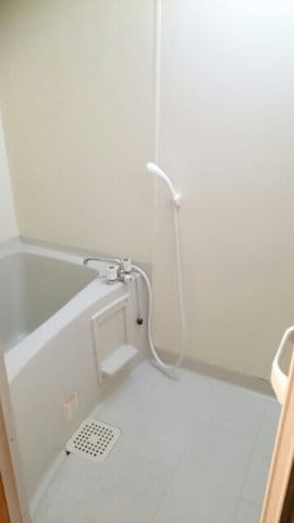  グリーン・リーフ軽井沢