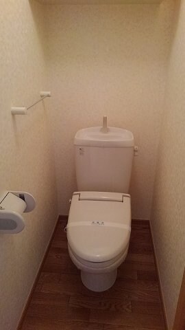  ヌォーヴォ　ヴェント