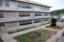 尾道市立向島中央小学校(小学校)まで294m キャッスル向島