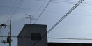  田頭ビル