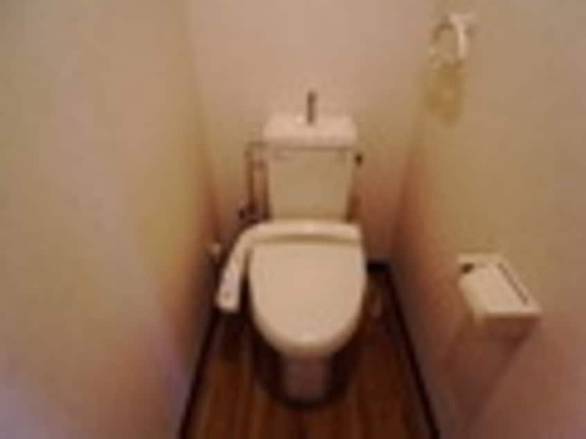  シャングリラ霞