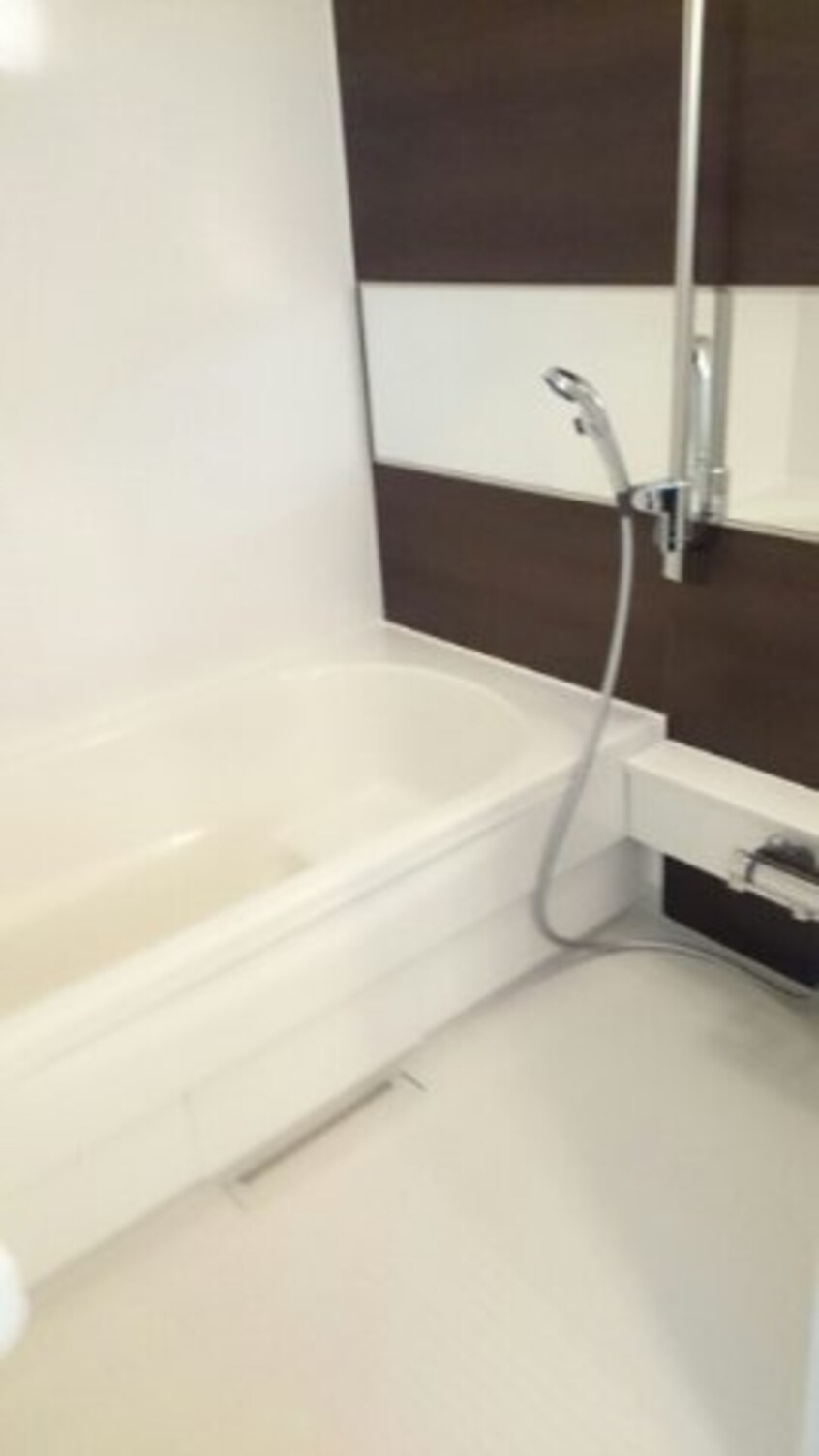  サン　ヴェルジェ　Ⅱ