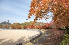 因島運動公園(公園)まで2648m サン　ヴェルジェ　Ⅱ