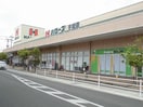 ハローズ手城店まで950m グランデ　パラッツオⅡ