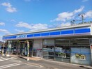 ローソン尾道平原台店まで280m エヴァＤ