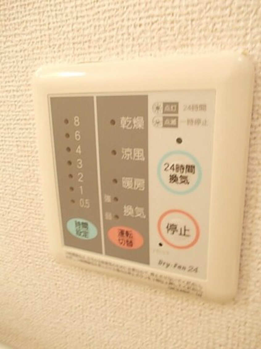  エヴァＤ