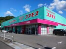 コスモス井原店まで700m ナチュラルプラス