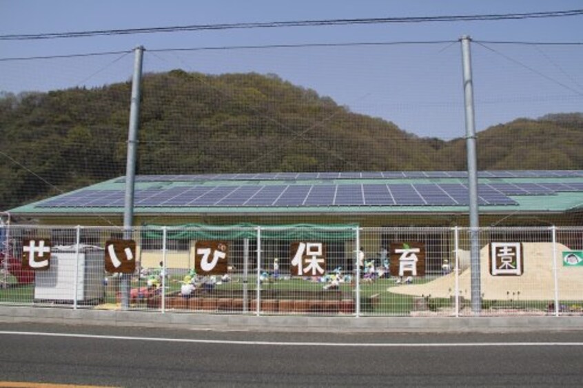 せいび保育園(幼稚園/保育園)まで1493m ナチュラルプラス